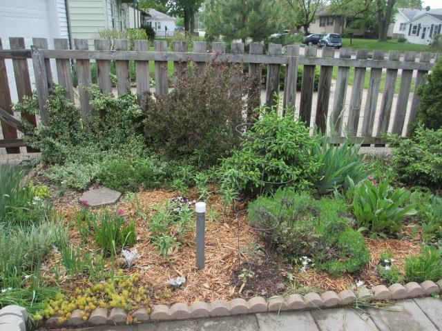 1203 Grant St, Elkhart, IN 46514 photo 13