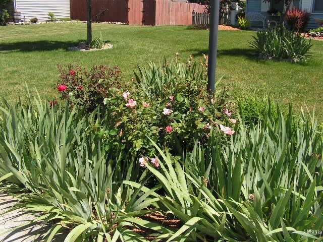 120 W Chapel Chase Dr, Decatur, IN 46733 photo 8