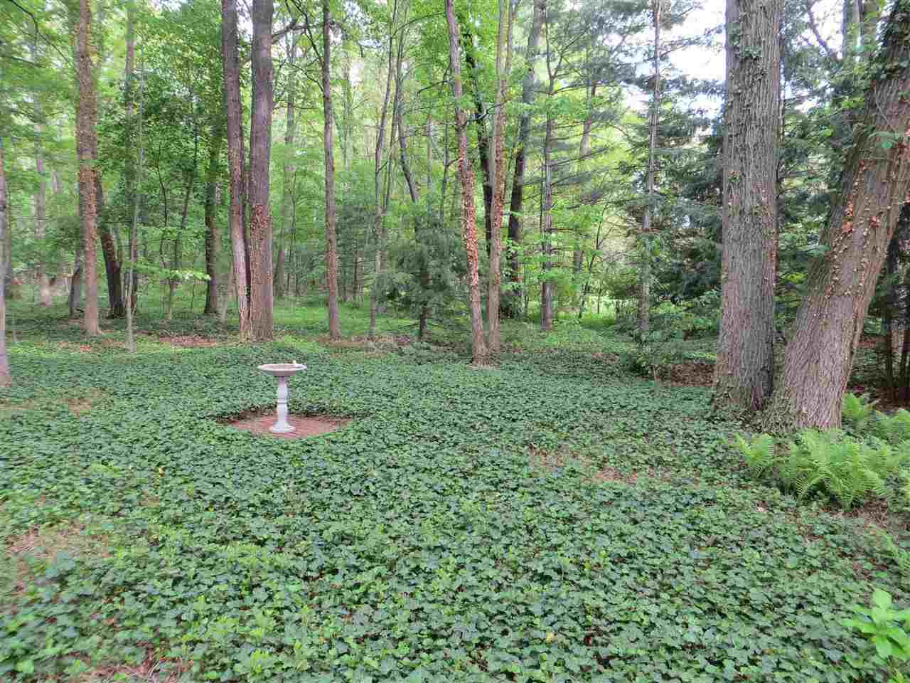 15288 Timber Trl, Mishawaka, IN 46545 photo 29