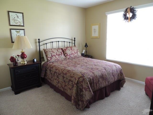 10410 Cherry Creek Rd, Fort Wayne, IN 46818 photo 19