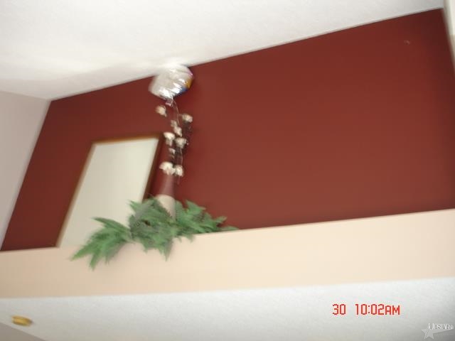 5110 Millers Cv, Fort Wayne, IN 46835 photo 7