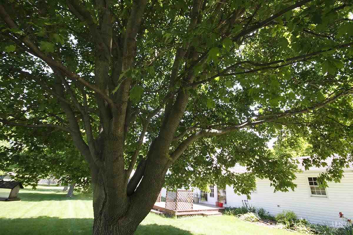 424 Ingle Dr, Ossian, IN 46777 photo 25