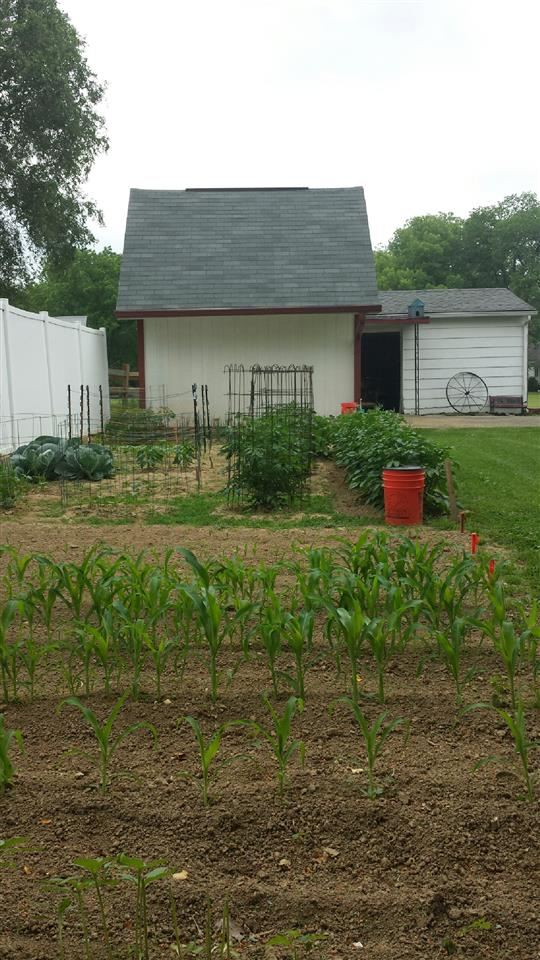 7909 E State Road 45, Unionville, IN 47468 photo 4