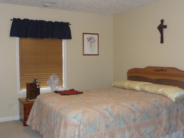 11 Blackberry Ln, Delphi, IN 46923 photo 8