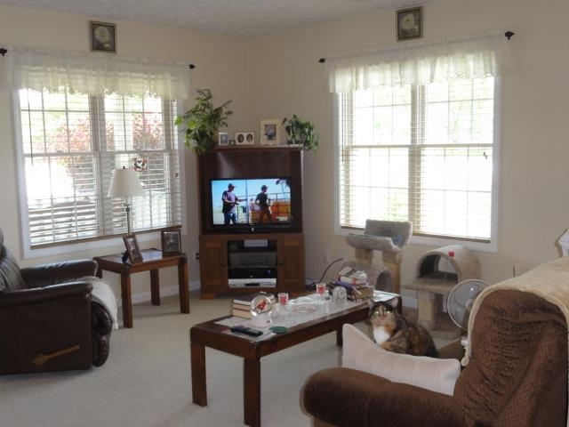 11 Blackberry Ln, Delphi, IN 46923 photo 5