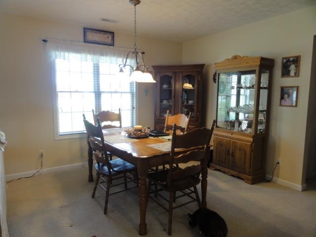 11 Blackberry Ln, Delphi, IN 46923 photo 9
