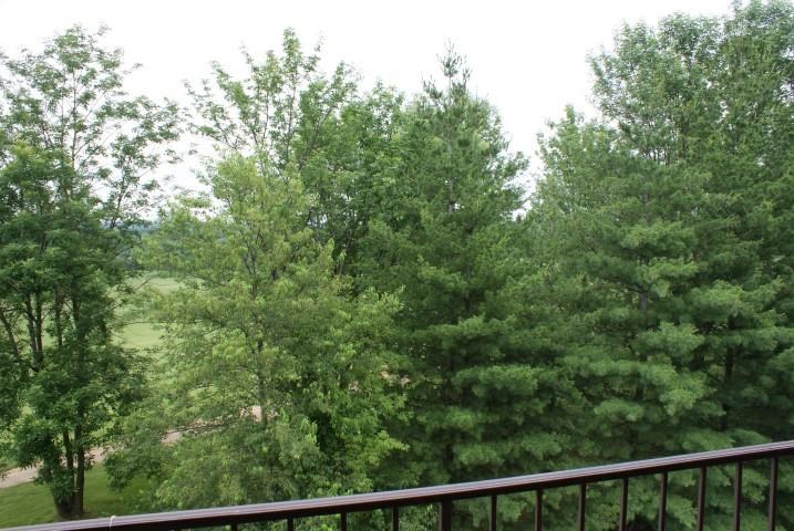 804 Senate Ave, Evansville, IN 47711 photo 22