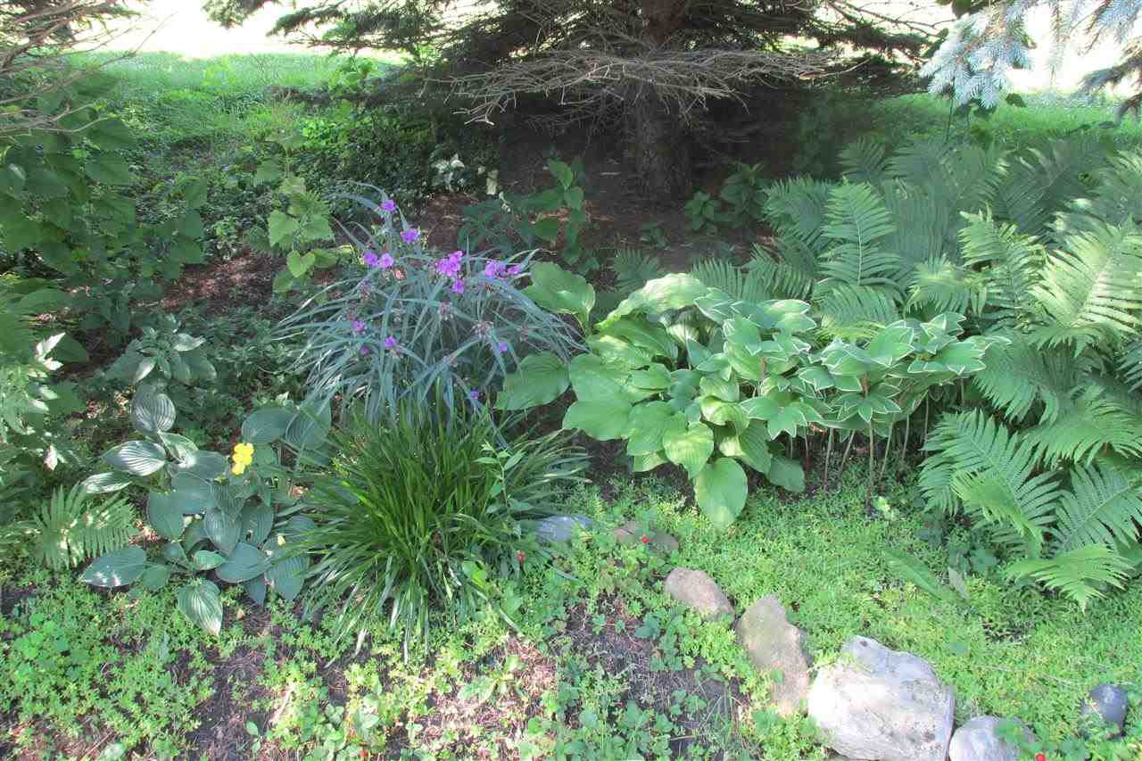 5606 Bluffton Rd, Fort Wayne, IN 46809 photo 21