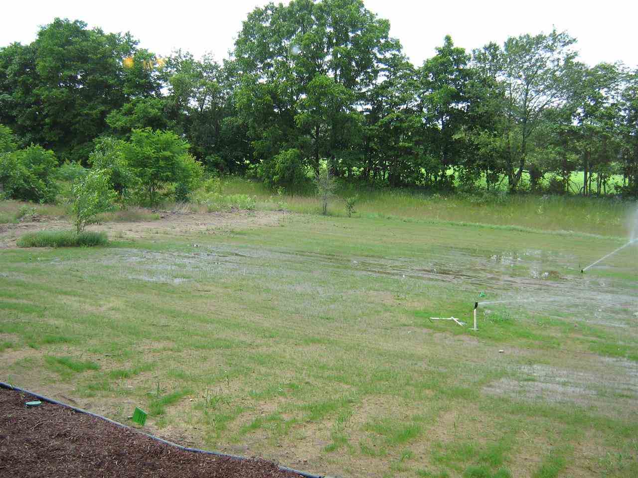 58211 Dragonfly Ct, Osceola, IN 46561 photo 10