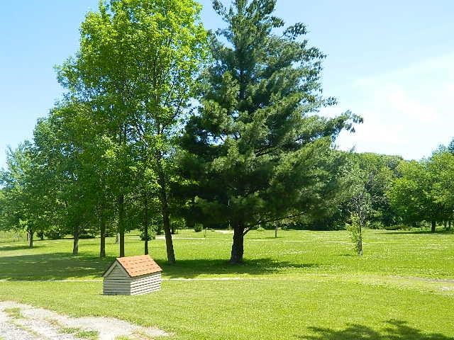 10790 E 662 S, Upland, IN 46989 photo 19