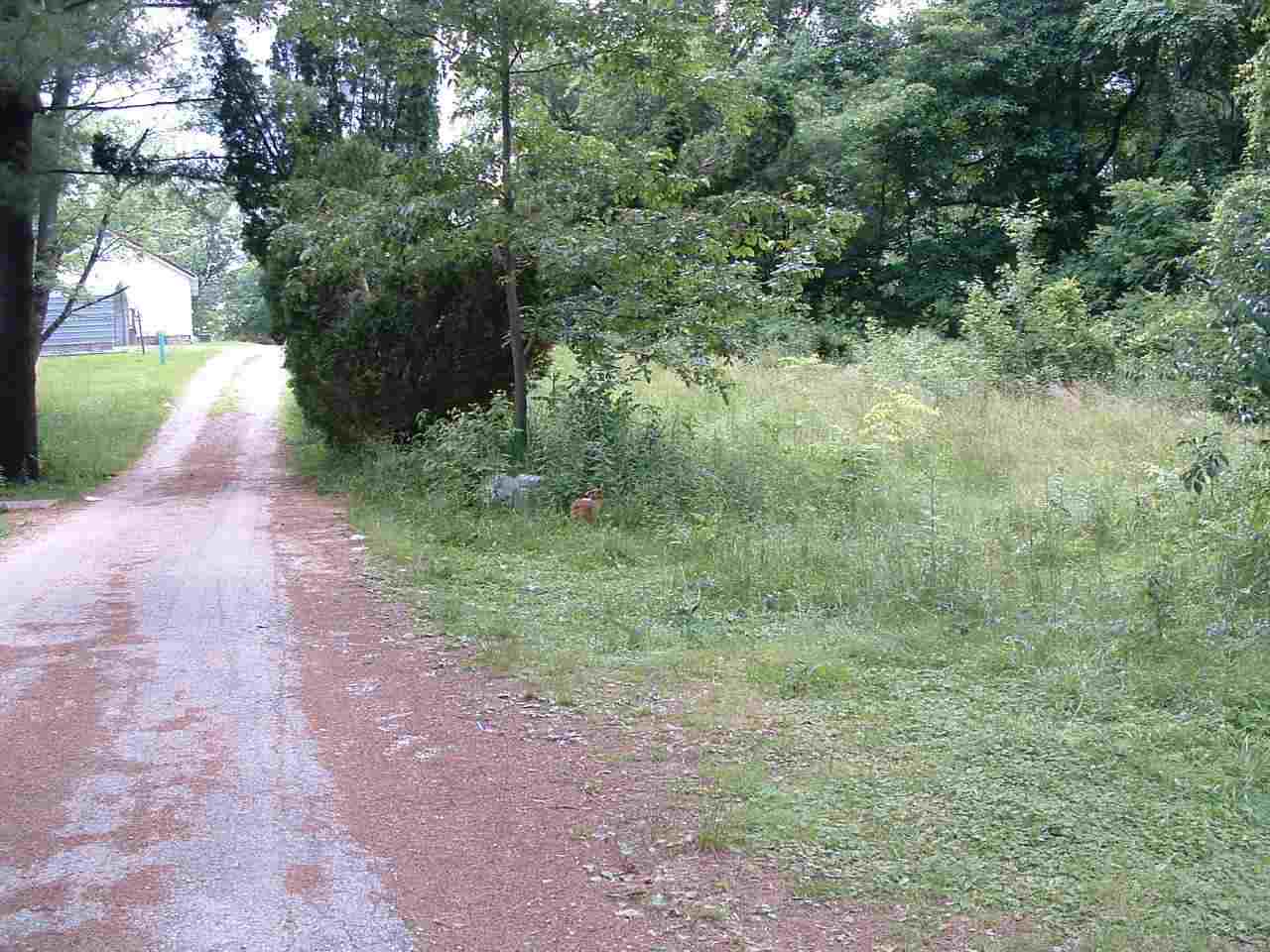 2314 12 W Arlington Rd, Bloomington, IN 47404 photo 9