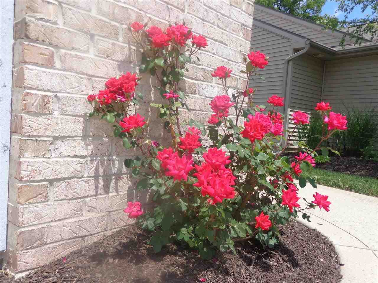 925 Fiona Dr, Fort Wayne, IN 46845 photo 21
