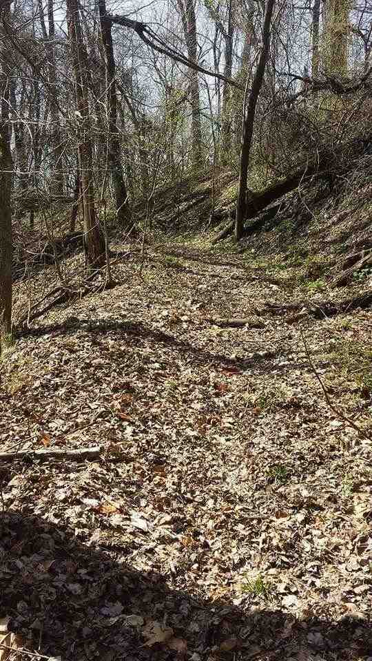 1318 Walnut St, Patricksburg, IN 47455 photo 3