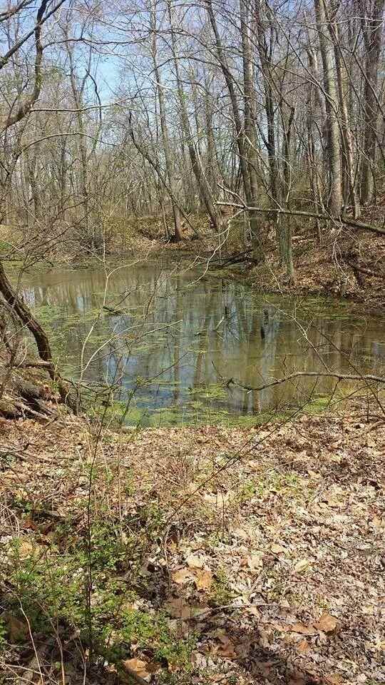 1318 Walnut St, Patricksburg, IN 47455 photo 9