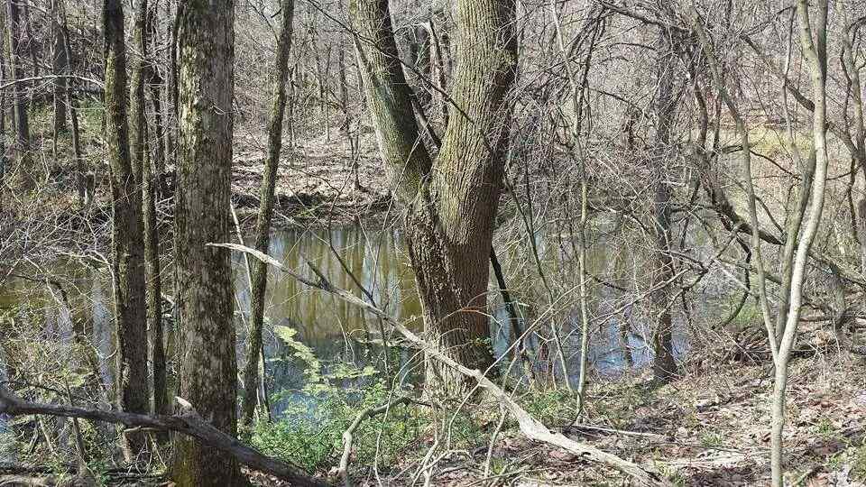 1318 Walnut St, Patricksburg, IN 47455 photo 4