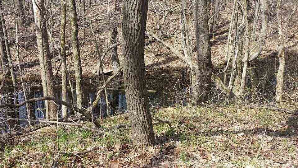 1318 Walnut St, Patricksburg, IN 47455 photo 5