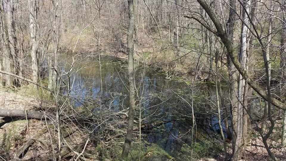 1318 Walnut St, Patricksburg, IN 47455 photo 6