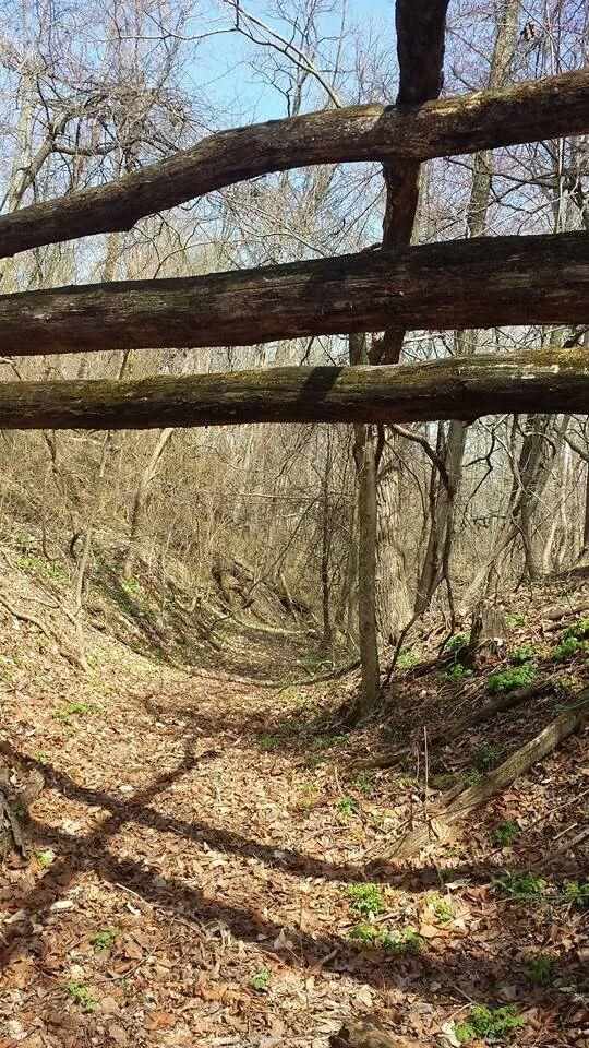 1318 Walnut St, Patricksburg, IN 47455 photo 7