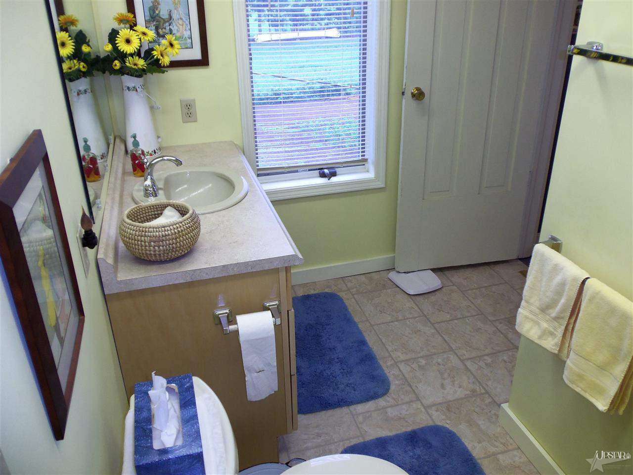 1231 County Road 19, Waterloo, IN 46793 photo 15