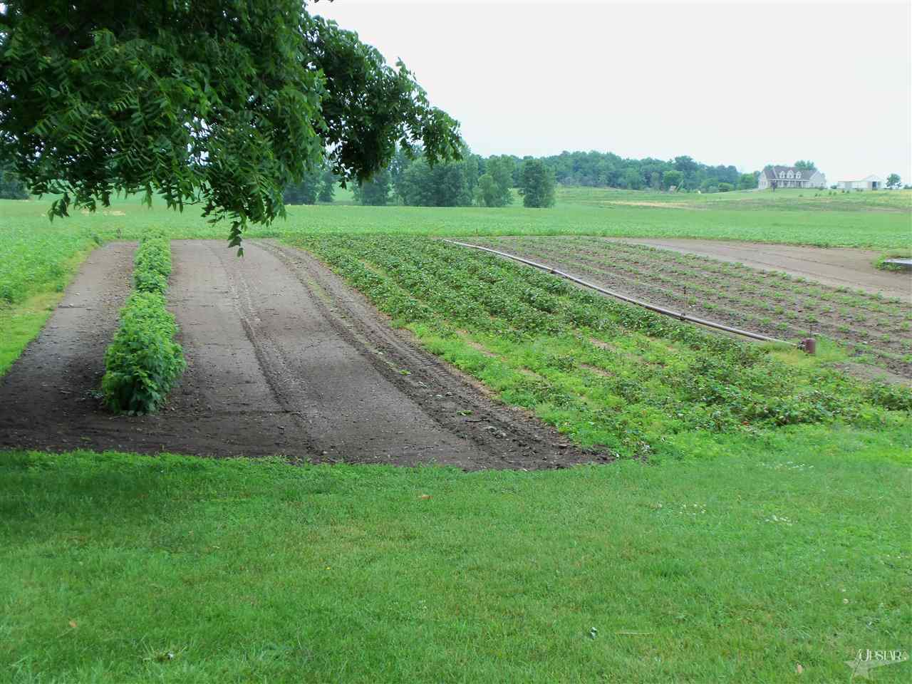 1231 County Road 19, Waterloo, IN 46793 photo 23