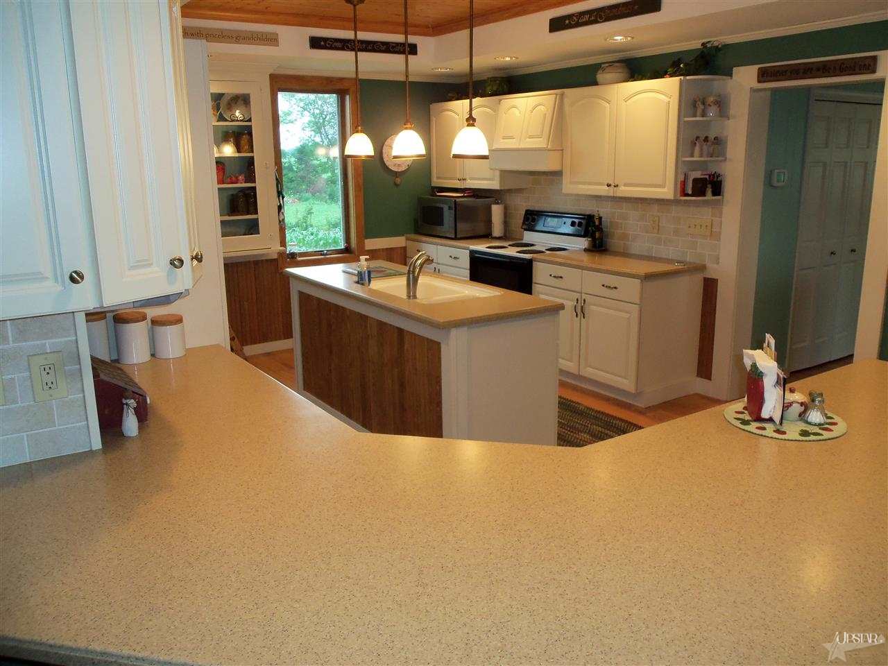1231 County Road 19, Waterloo, IN 46793 photo 8