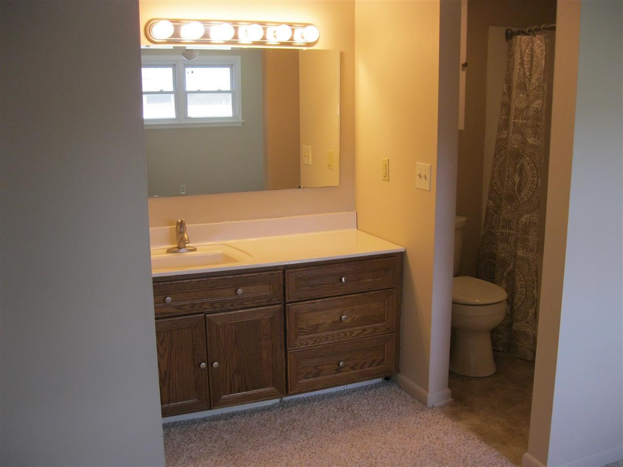 3808 Tulip Ln, Kokomo, IN 46902 photo 14