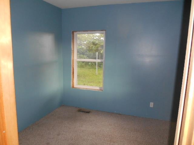 10112 S State Road 241, Decker, IN 47524 photo 11