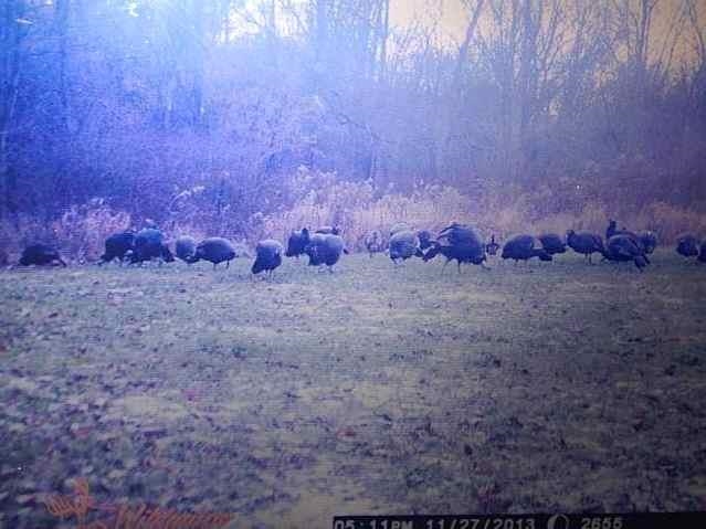 5540 E 200 S, Lagrange, IN 46761 photo 30