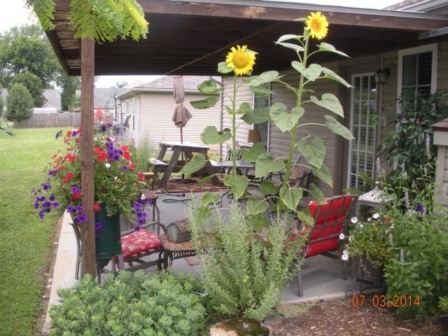 5643 River Walk Cir, Newburgh, IN 47630 photo 8