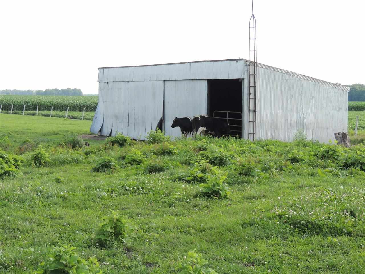 12840 N 600 W, Idaville, IN 47950 photo 3