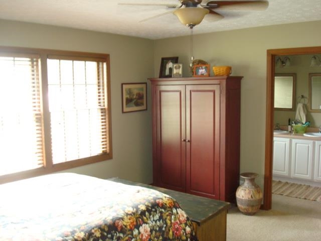 408 W Albion St, Avilla, IN 46710 photo 11