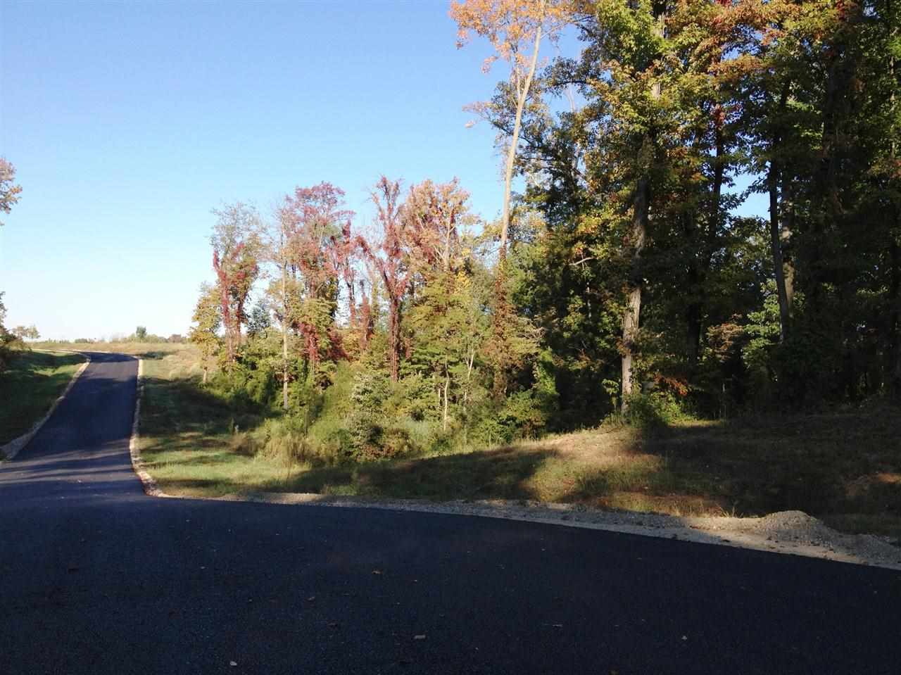 5901 Serenity Dr, Mount Vernon, IN 47620 photo 3