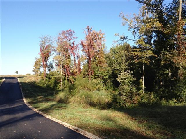 5901 Serenity Dr, Mount Vernon, IN 47620 photo 7