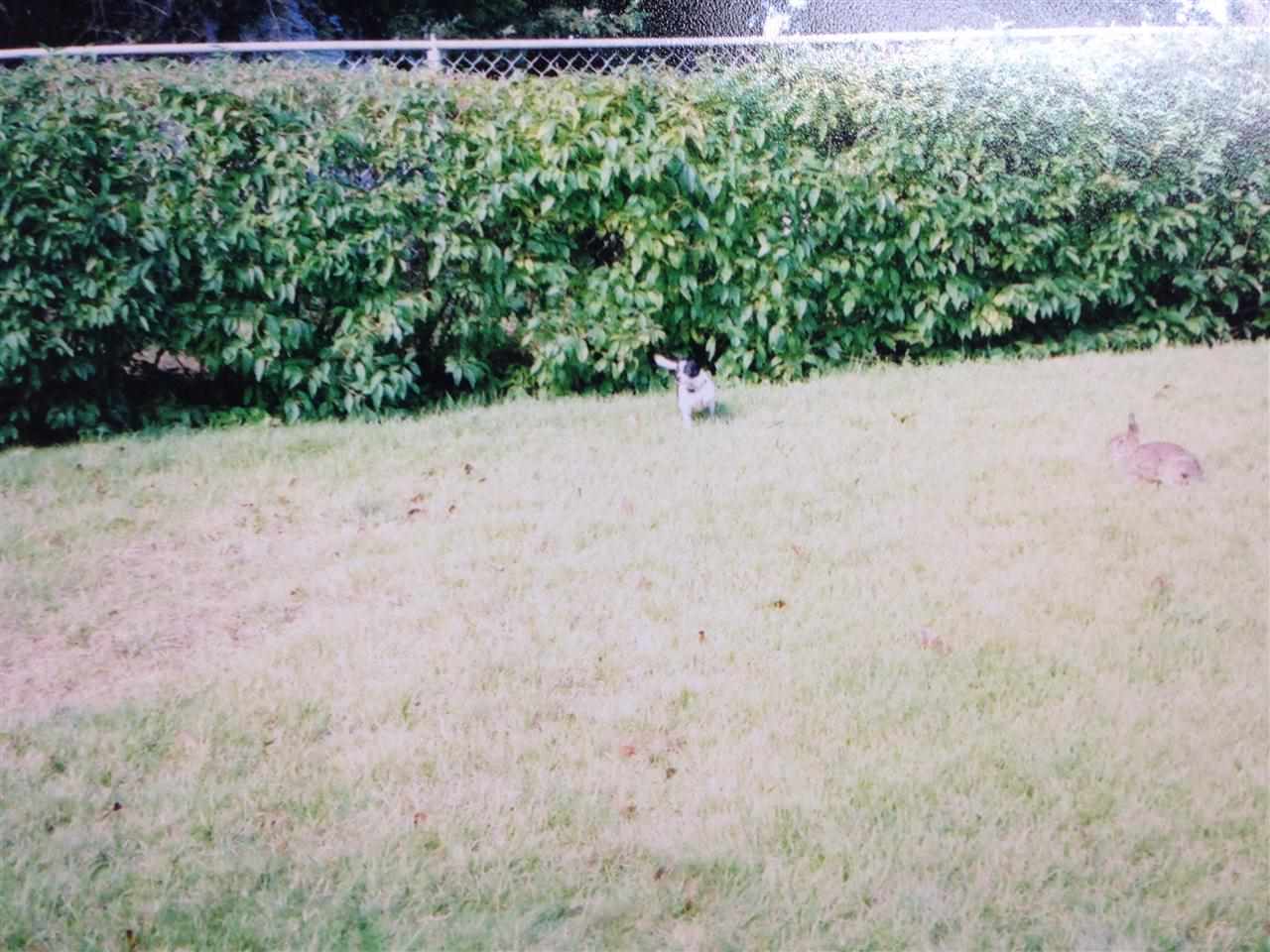 5208 N Fourth Ave, Evansville, IN 47710 photo 9