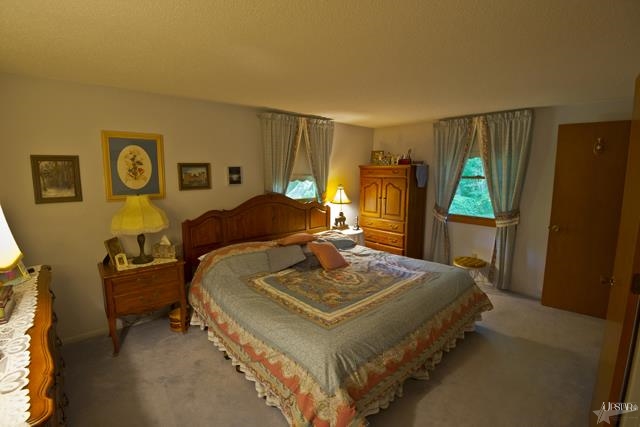 215 W Fitch Rd, Huntertown, IN 46748 photo 19