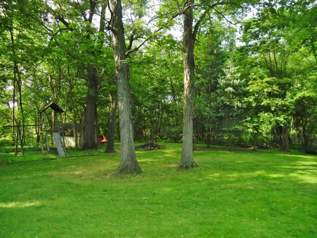 595 W Stones Hill Rd, Ligonier, IN 46767 photo 6