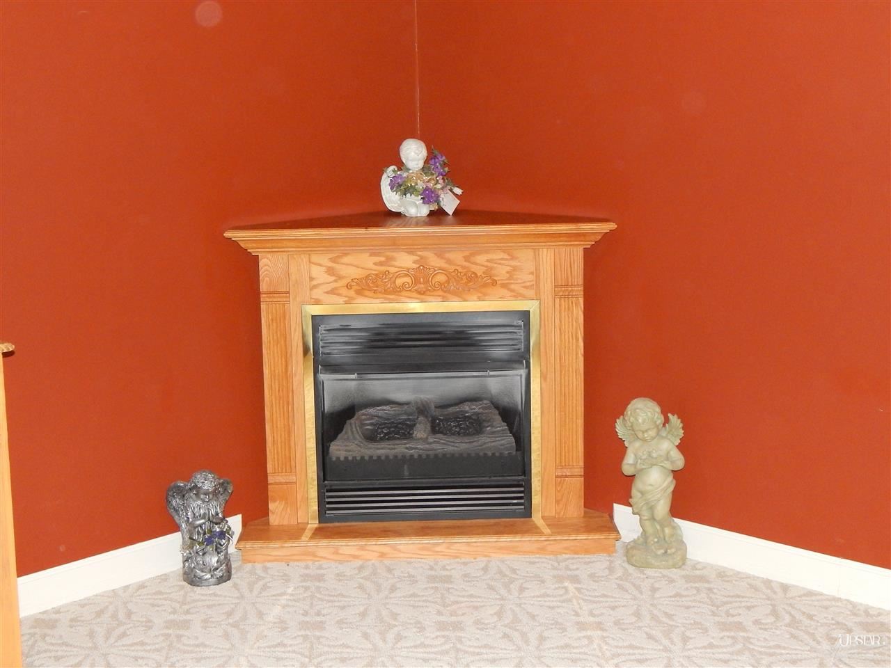 145 Selkirk Ln, Decatur, IN 46733 photo 12