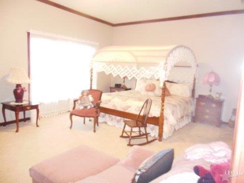 10635 Cedar Oaks Ln, Fort Wayne, IN 46835 photo 23