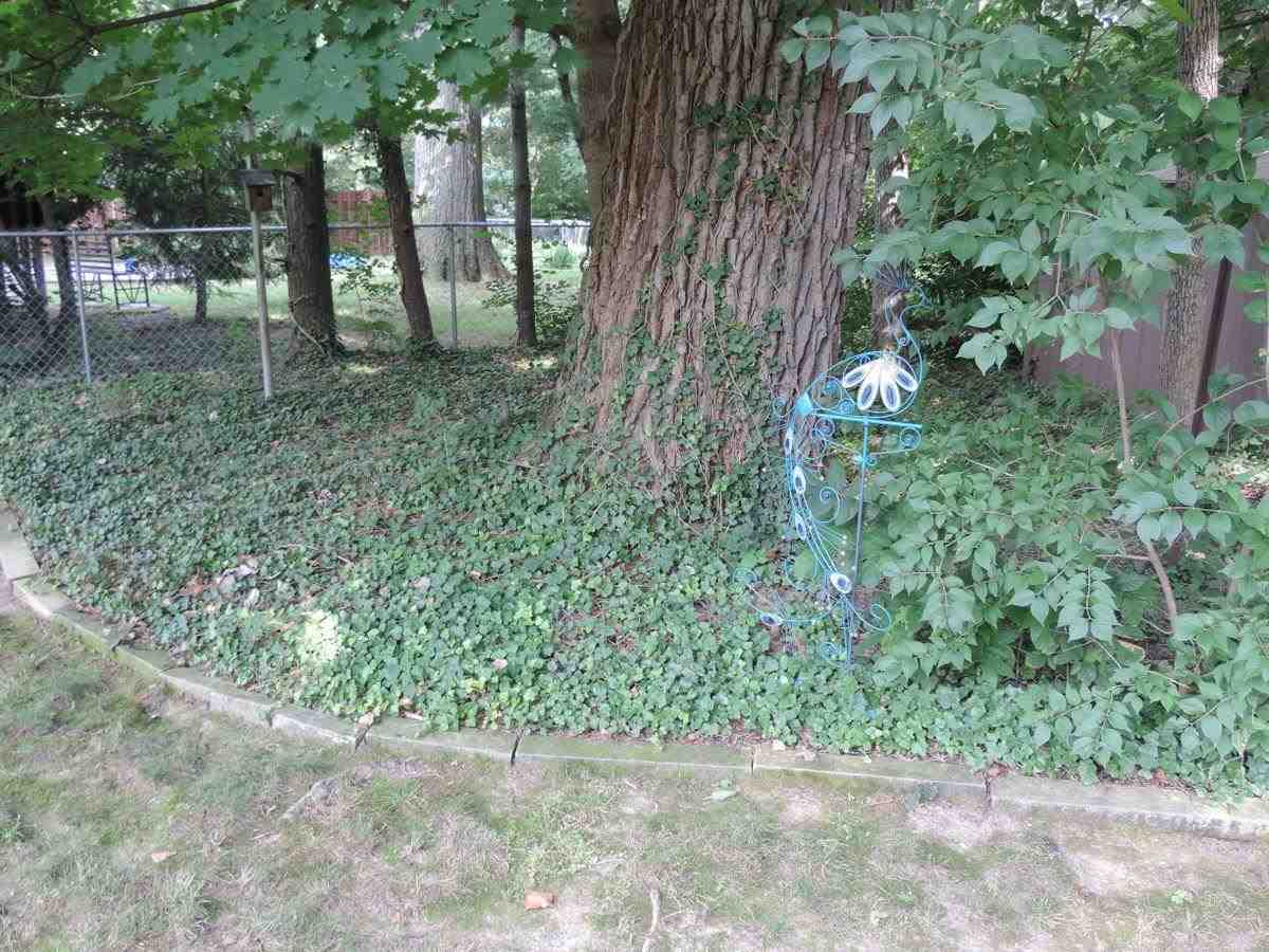1305 Warren Dr, Lafayette, IN 47905 photo 22