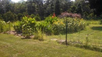 18769 Auten Rd, South Bend, IN 46637 photo 5