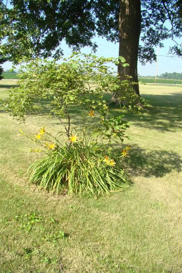7400 Olmstead Rd, Evansville, IN 47715 photo 26