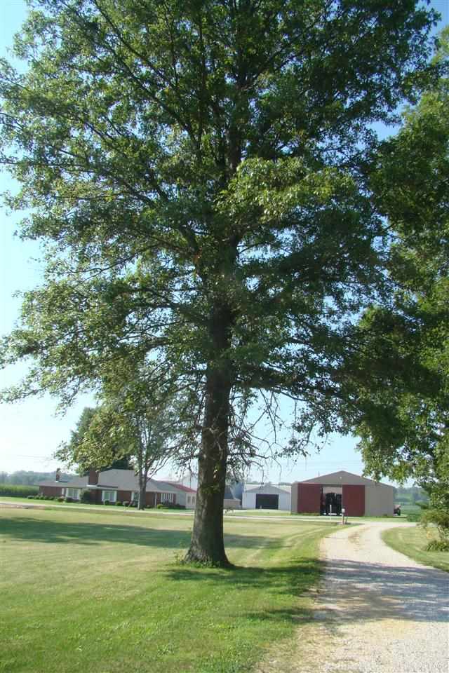 7400 Olmstead Rd, Evansville, IN 47715 photo 25