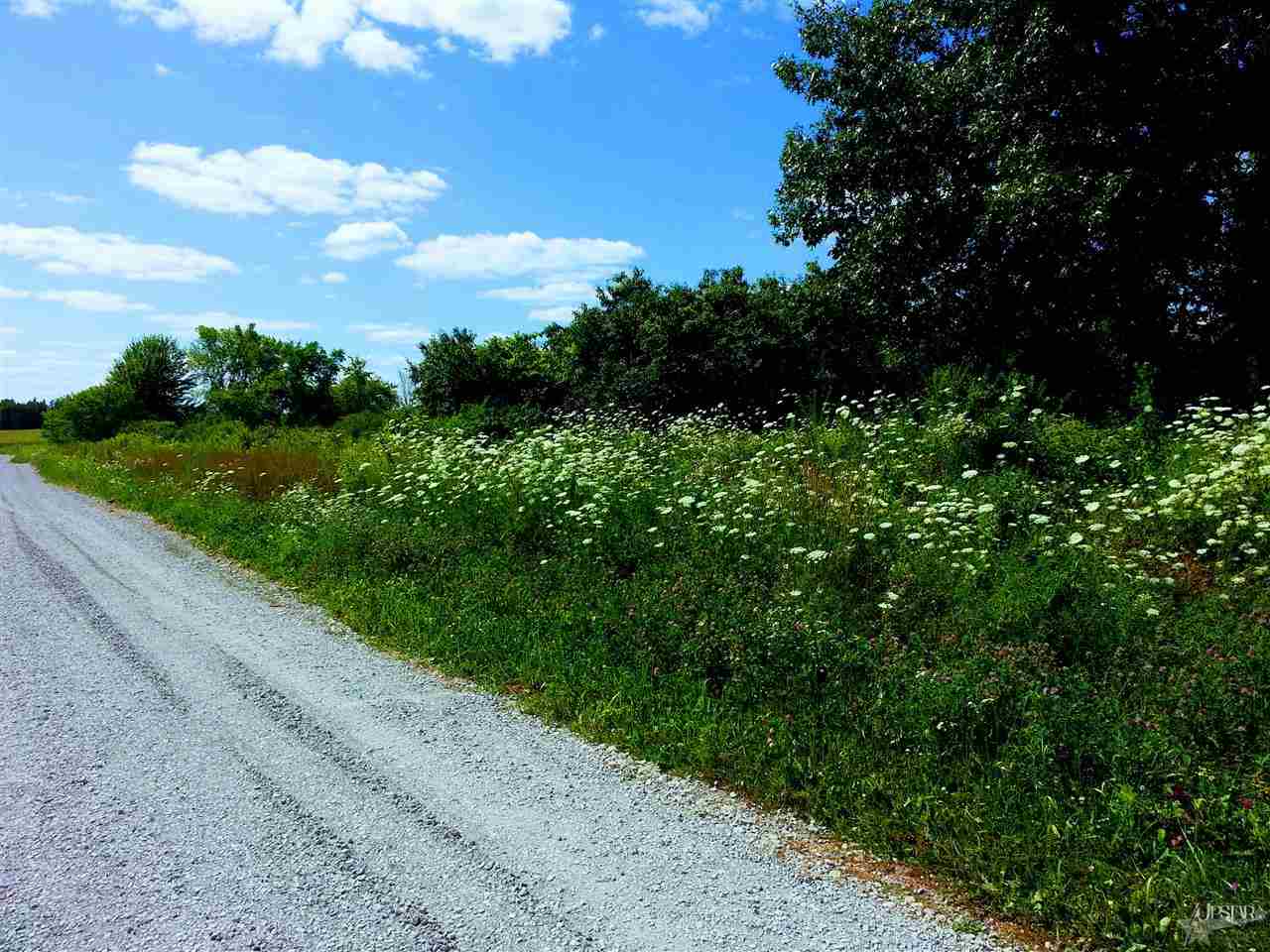 18006 Wesley Chapel Rd, Churubusco, IN 46723 photo 22