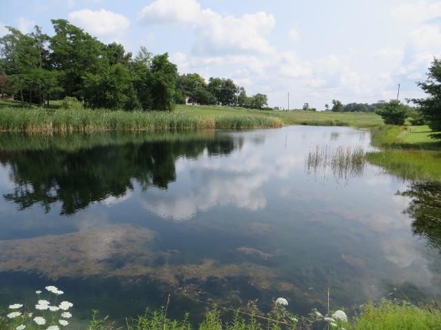 7167 E County Road 750 N, Mooreland, IN 47360 photo 21