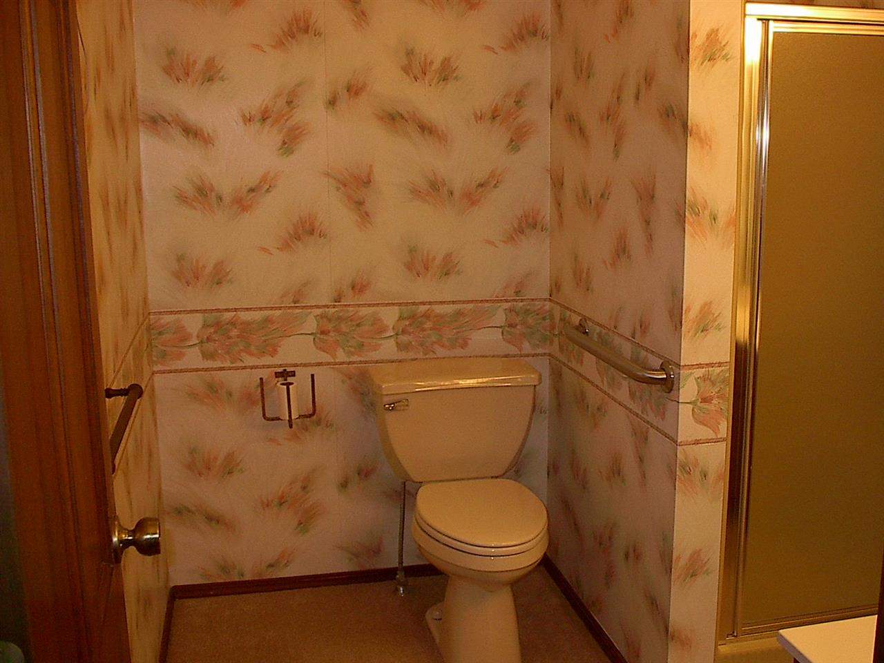 105 E Walnut, Waterloo, IN 46793 photo 9