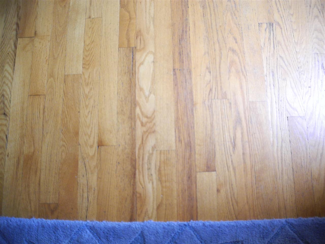 10135 Glenwood Ave, Osceola, IN 46561 photo 3