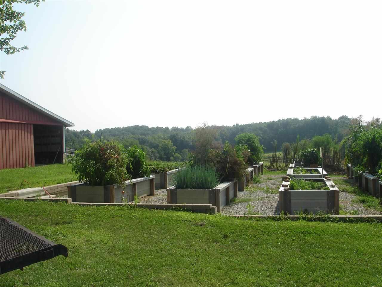 12488 N 1375 E, Odon, IN 47562 photo 10