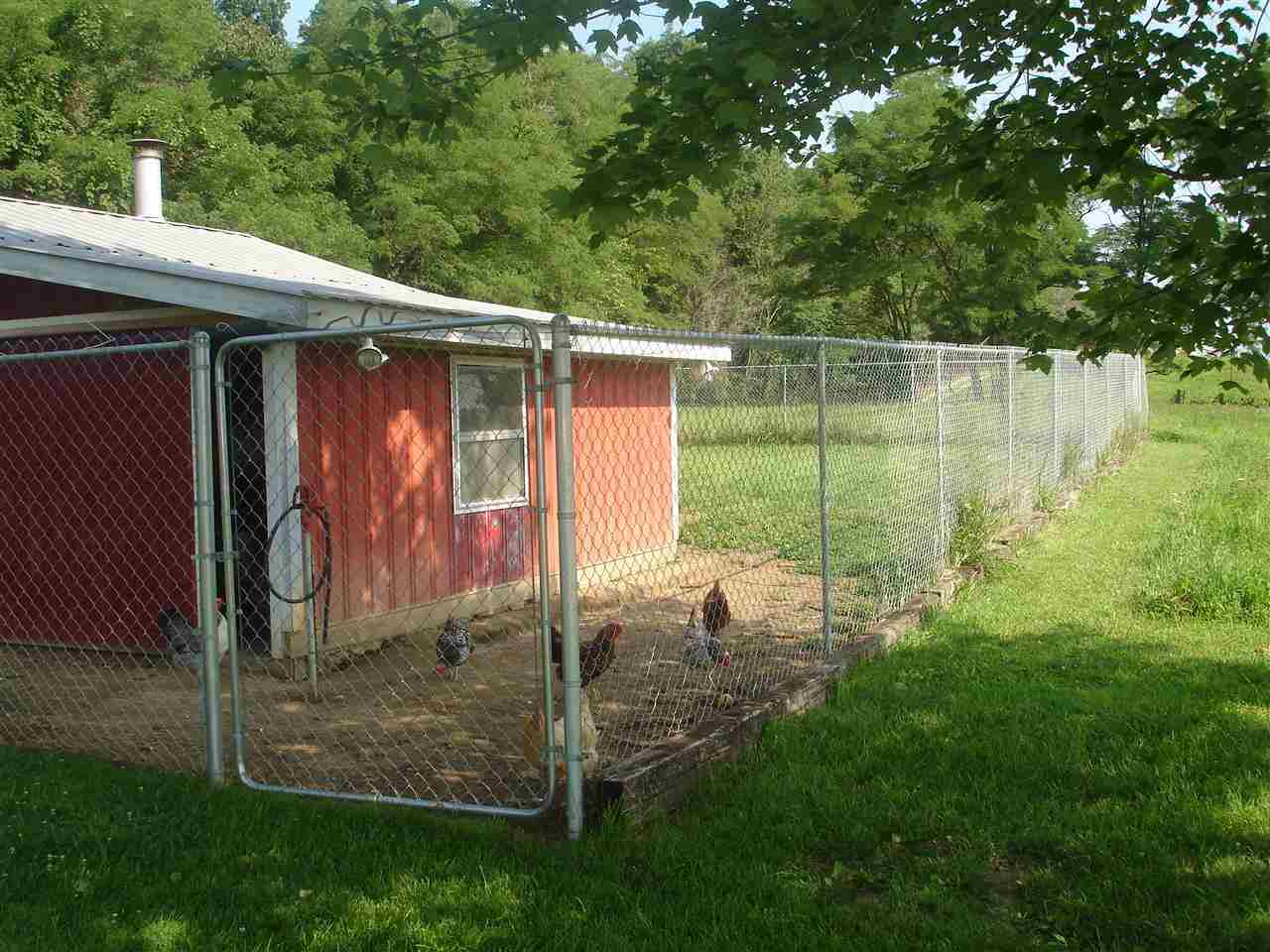 12488 N 1375 E, Odon, IN 47562 photo 9