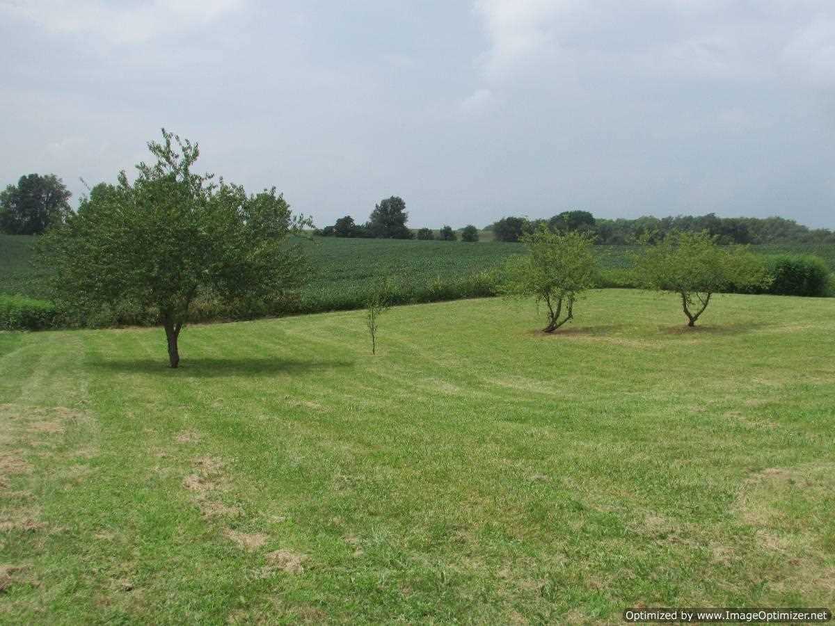 775 Cassidy Ln, Mitchell, IN 47446 photo 14