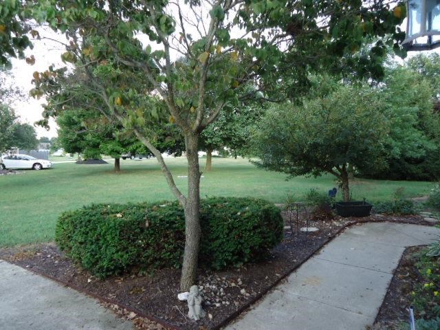 1510 Cardinal Cir, Rochester, IN 46975 photo 21